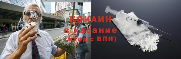 твердый Арсеньев